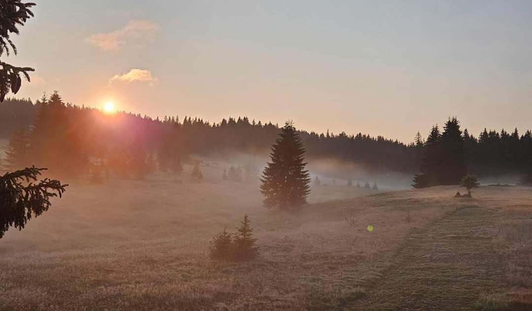Ubytovani U Krizku Modrava Extérieur photo